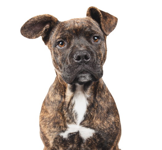 Subscription offer image