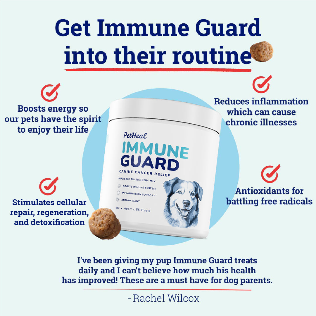 Immune Guard — Qty 3