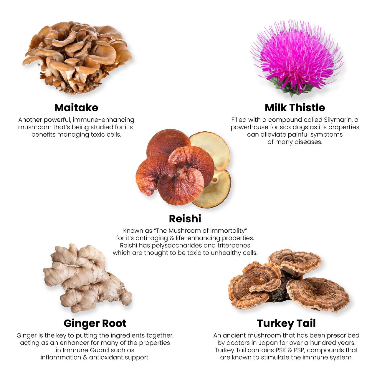 Immune Guard