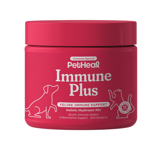 Immune Plus Feline Special — OTP