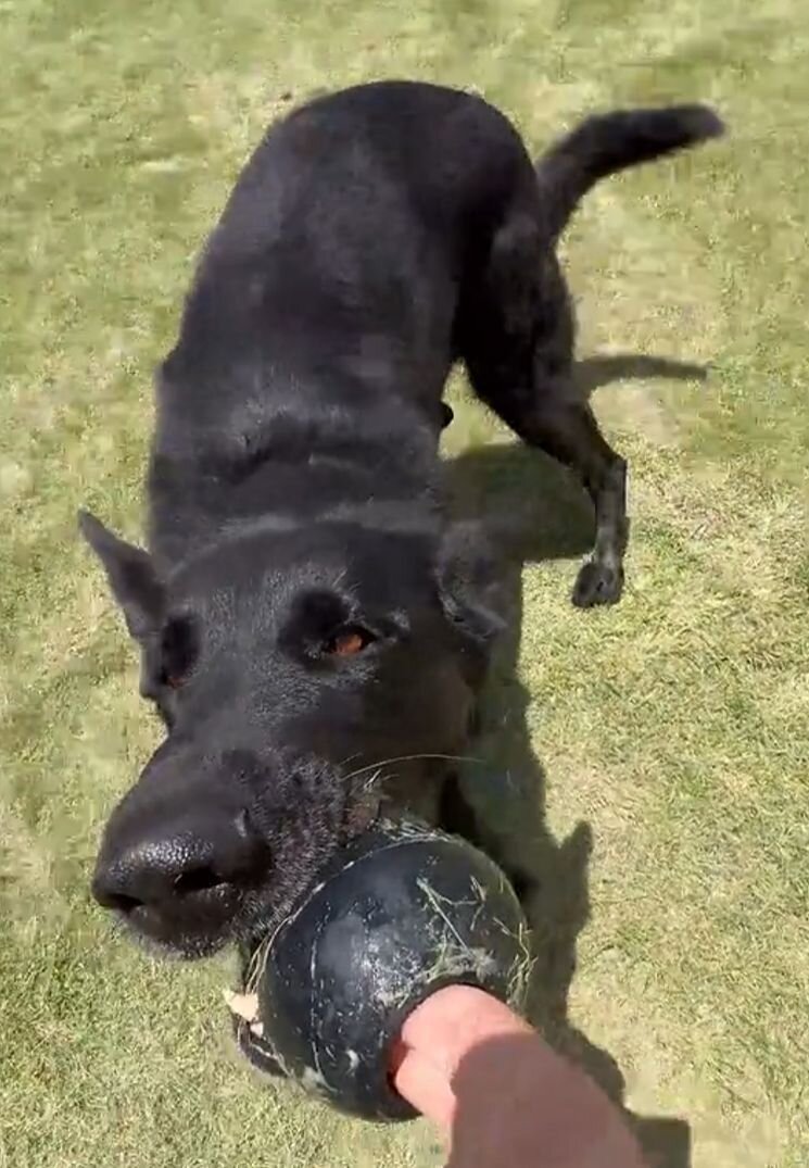 Play video