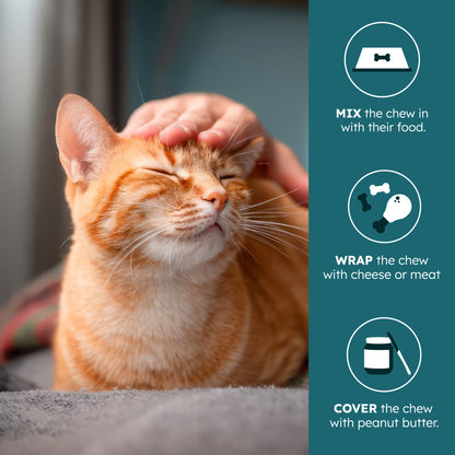 Immune Plus Feline Special — OTP