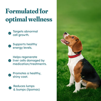 Immune Plus Canine Special — OTP
