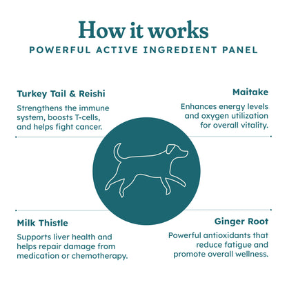 Immune Plus Canine Special — OTP
