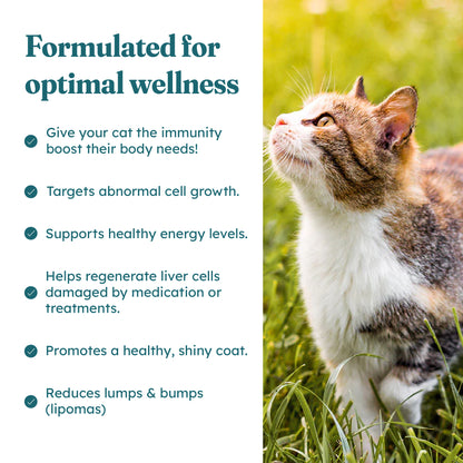 Immune Plus Feline Special — OTP