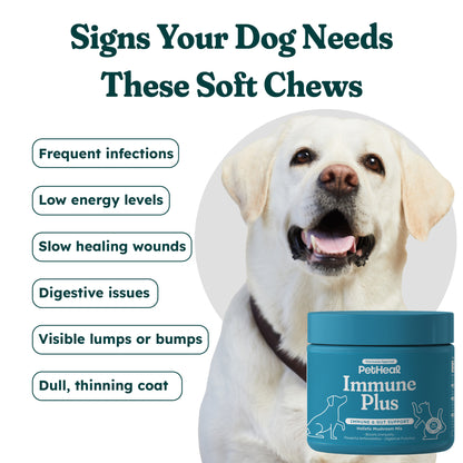 Immune Plus Canine Special — OTP