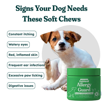 Allergy Guard Special — OTP