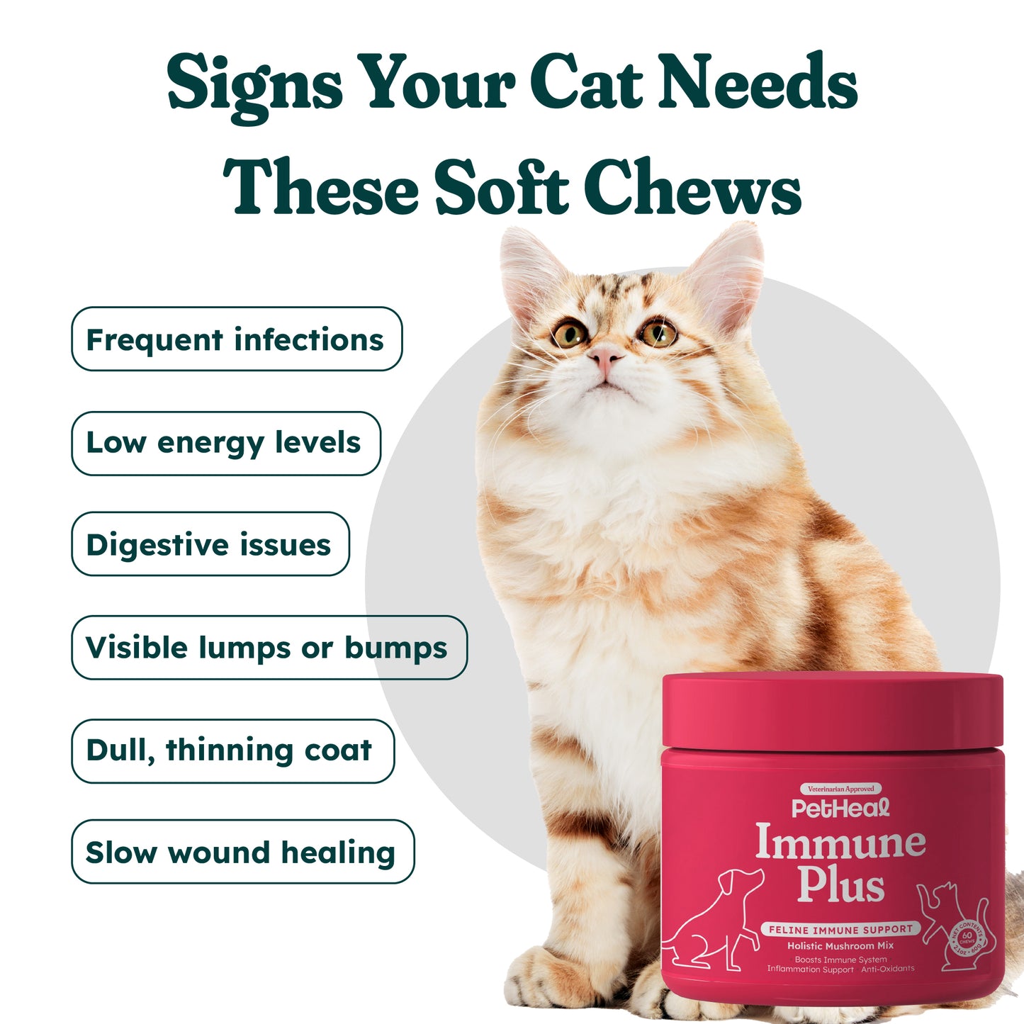 Immune Plus Feline Special — OTP